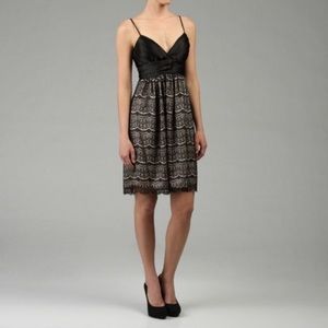 NWT Max and Cleo Black & Nude Lace Dress Size 12